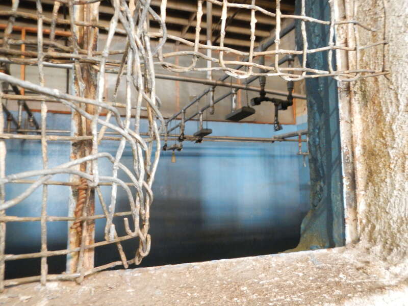 East End, Boise, ID 83712, USA