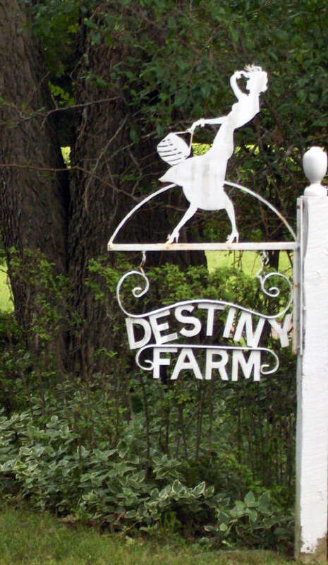 Sign designed by Irene Castle for the Destiny Farm property in Eureka Springs, Arkansas, where the dancer lived from 1954-1969.