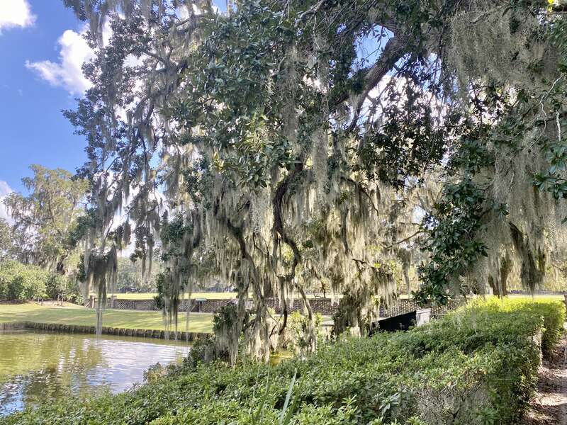 The formal gardens at Middleton Place were originally laid out in the 18th Century, but fell into ruins following the US Civil War and the 1886 Charleston Earthquake.  They were restored in the early 20th Century by the descendants of the Middleton