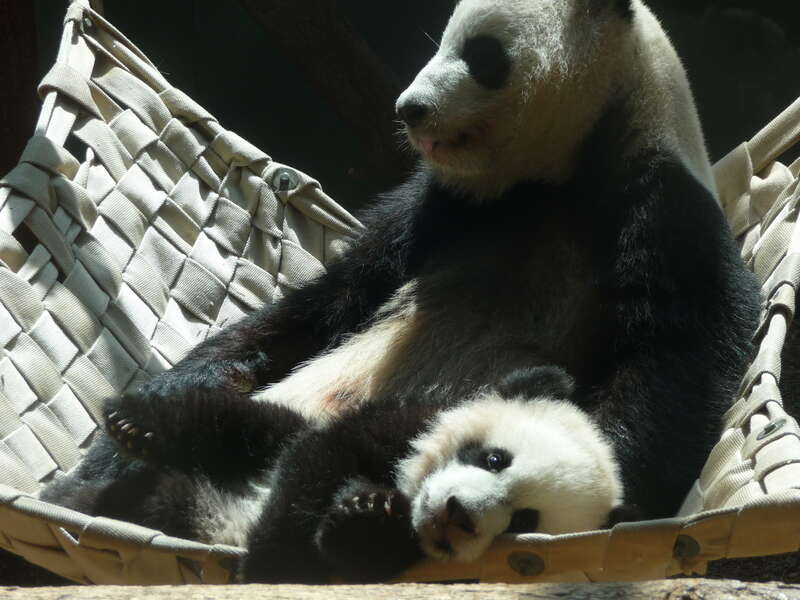 get me off this hammoc