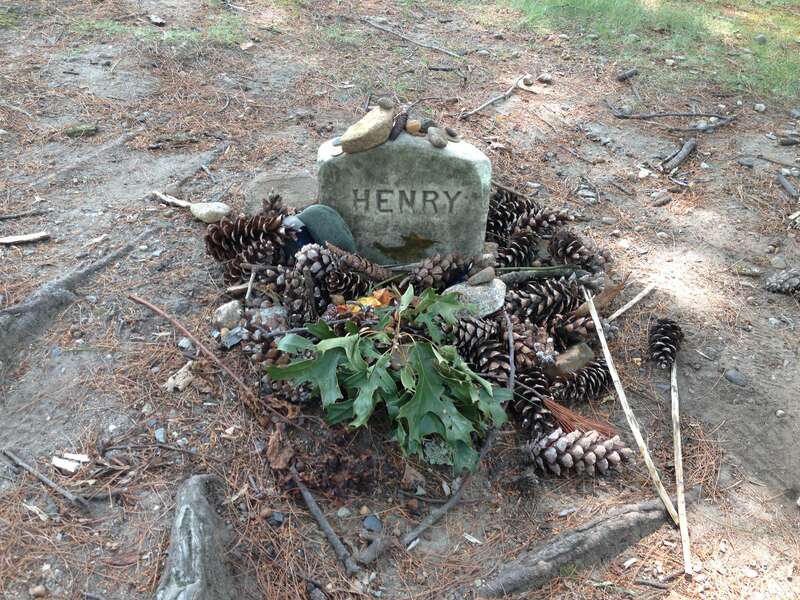 Grave of Henry David Thoreau in Sleepy Hollow Cemetery, Concord, Massachusetts, USA.