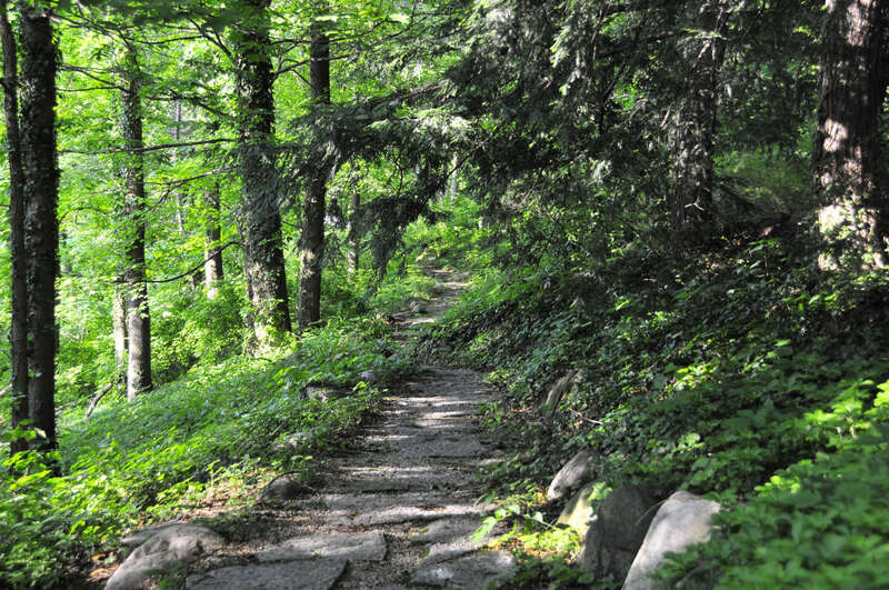 Little Red Riding Hood walked this way before meeting Mr. Wolf.