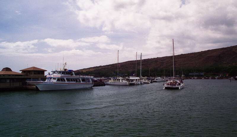 Maalaea harbour