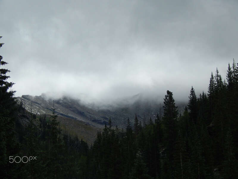 500px provided description: A hiking trail in early September [#landscape ,#fog ,#forest ,#mountains ,#landscapes ,#misty ,#colorado ,#hiking ,#camping ,#rocky mountains]