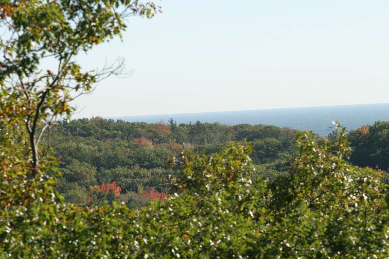 View South out of the Block House lookout tower in Muskegon State Park. Oct. 2007