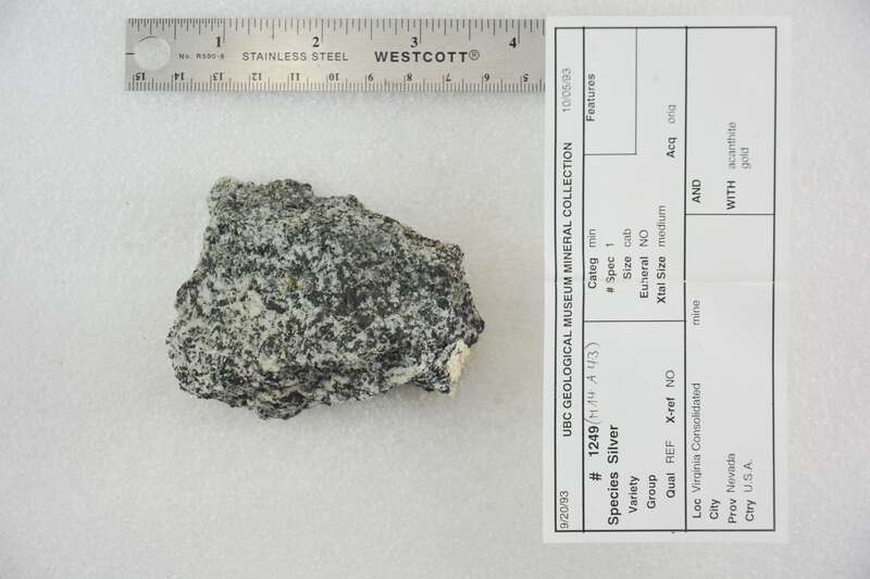 Virginia Consolidated Mine
Nevada, USA

1249