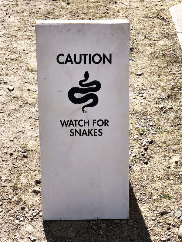 2019-02-17 — CHINATI foundation – Marfa, Texas