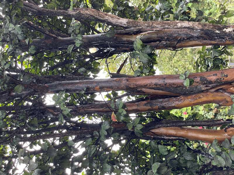 Seen in Clarksdale, Mississippi