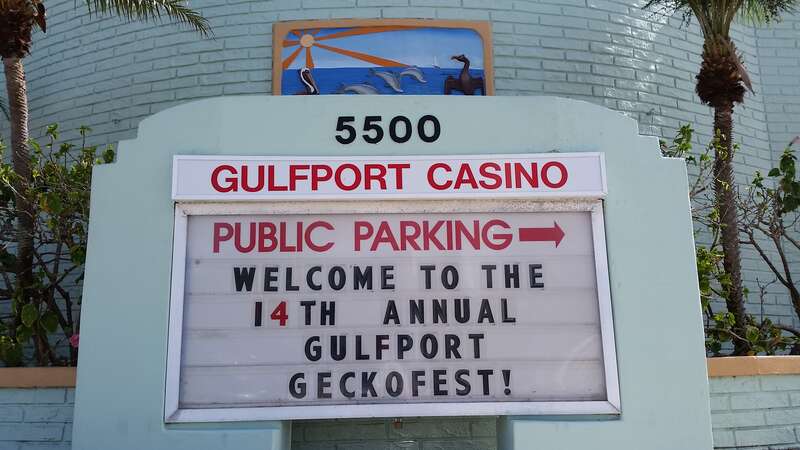 Gulfport Merchant's Association present the 14th Annual GeckoFest. 3129 Beach Blvd., Gulfport 33707 #GeckoFest