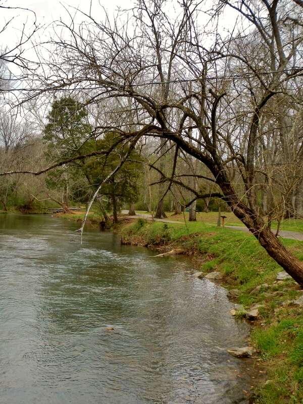 This is a picture of Shoal Creek in Orr Park in Montevallo, Alabama.