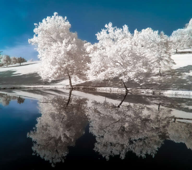 Oglebay Park, West Virginia (Infrared)