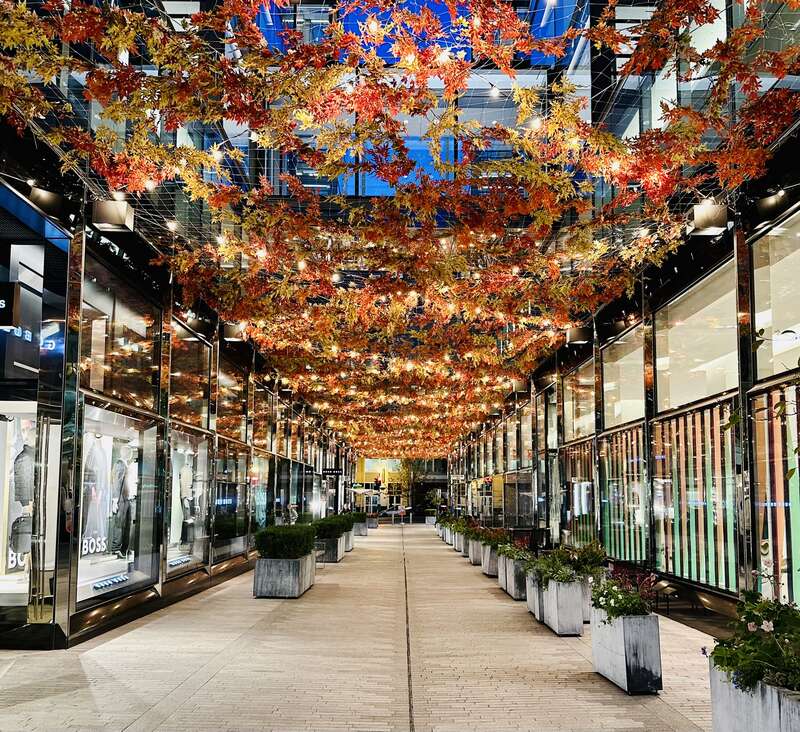 Palmer Alley is a two block alley in the CityCenterDC complex in Washington, D.C. It's situated between 9th, 11th, H and I Streets NW.