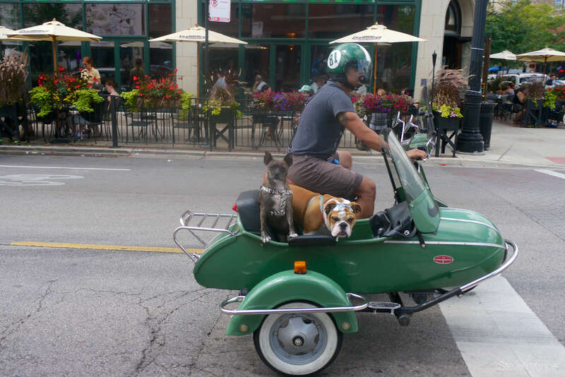 A man with two dogs in a green side car stopped at the intersection of Berwyn and Clark across from the restaurant Lady Gregory's in the Andersonville neighborhood of Chicago.