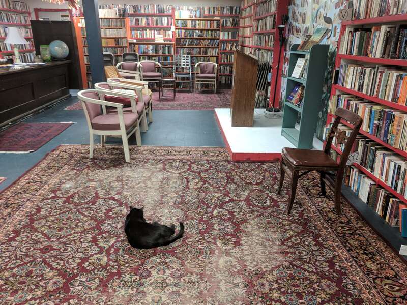 The Bookplate, a bookshop on South Cross Street in Chestertown, Maryland, featuring fine books, fine art, and a cat. This is Kiki, the Bookplate's resident meow-meow.