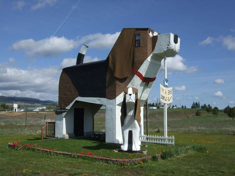 Toby and Sweet Willy, Dog Bark Park Inn, Cottonwood, Idaho, USA.
