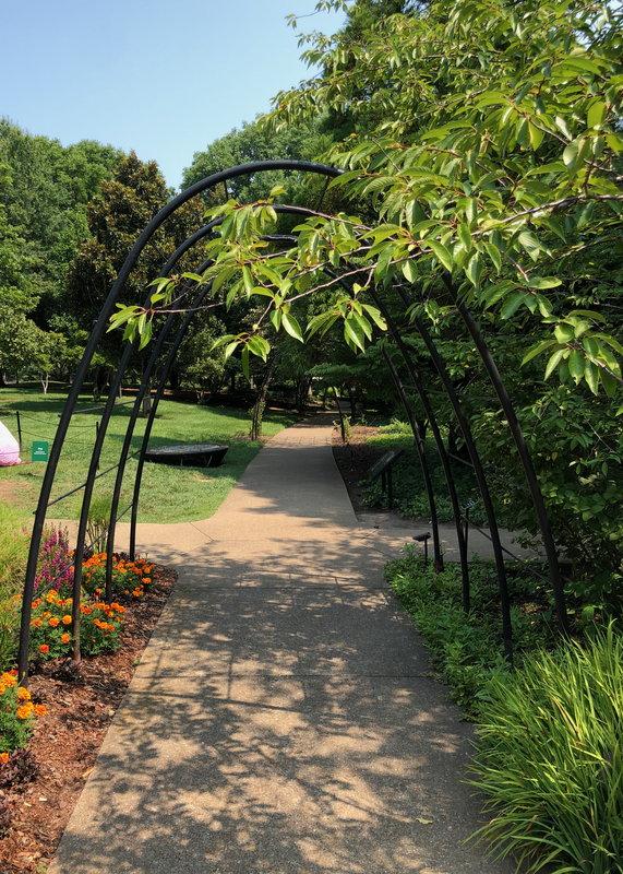 Walking path at the Cheekwood Botanical Gardens