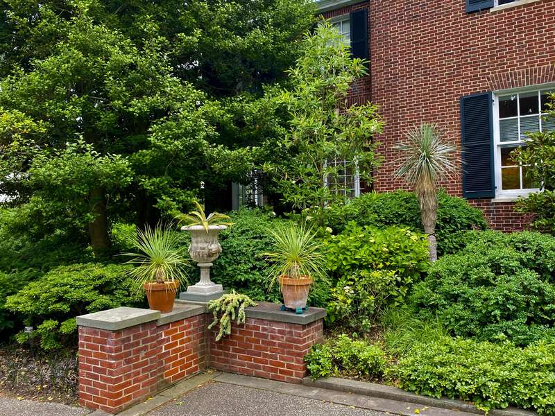 An arrangement of plants situated near the entrance to the Glyndor Mansion, as seen on a June 2022 visit to the Wave Hill Public Garden.