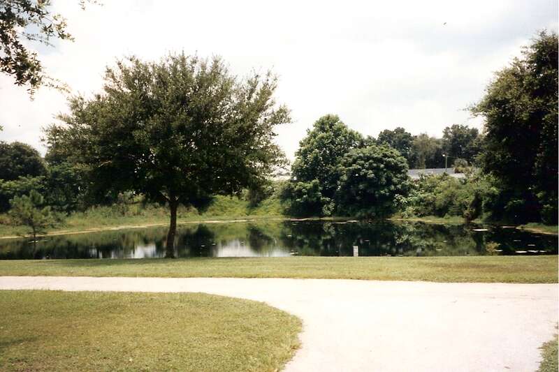 Winter Park Sinkhole