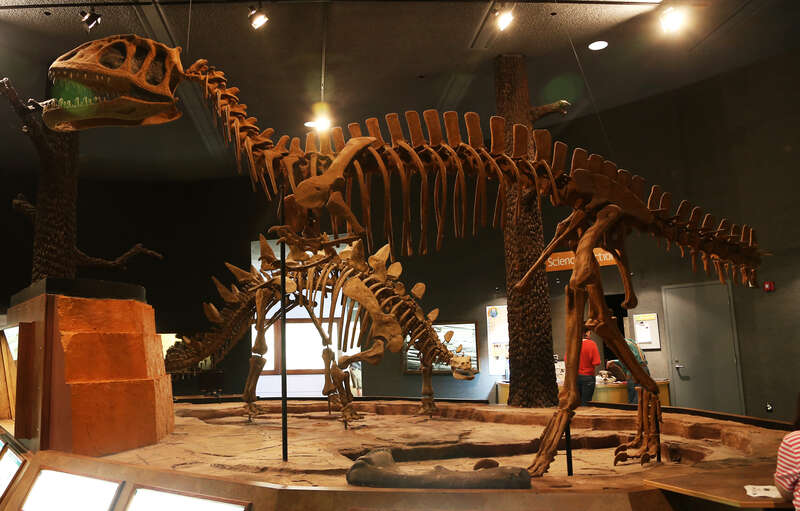 Delaware Museum of Natural History
Wilmington DE

July 6, 2013