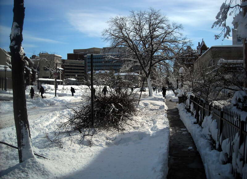 A pile of broken tree limbs (following the North American blizzard of 2010) lying in front of the Thomas T. Gaff House, on the 1500 block of 20th Street, N.W., in the Dupont Circle neighborhood of Washington, D.C..