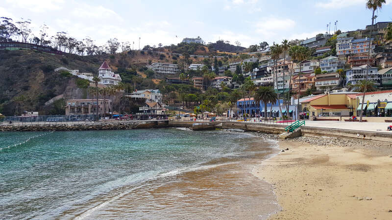 Avalon Harbor by D Ramey Logan