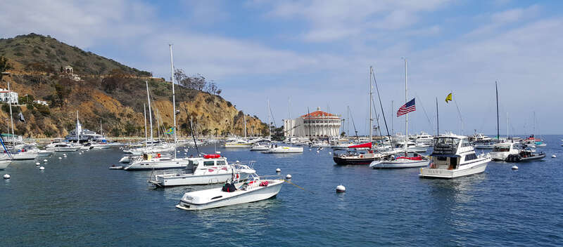Avalon harbor and the Casino by D Ramey Logan