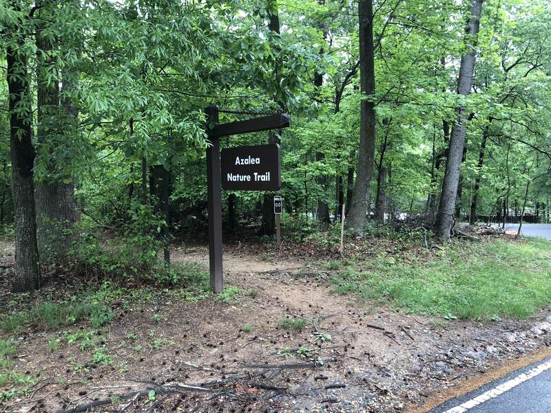 Azalea Trail sign