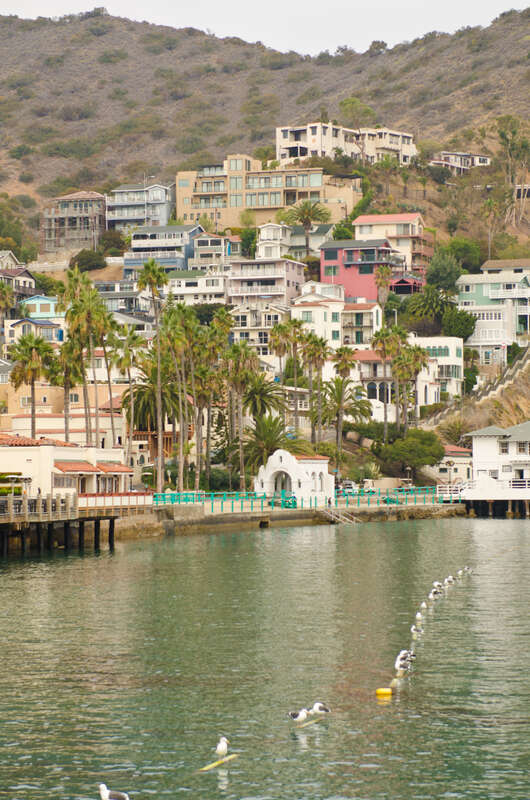 Catalina Island and Ensenada Cruise