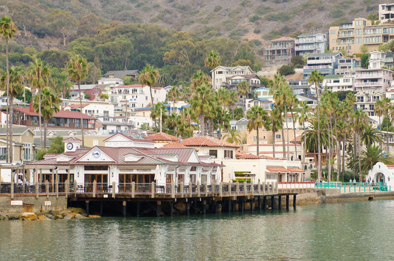 Catalina Island and Ensenada Cruise