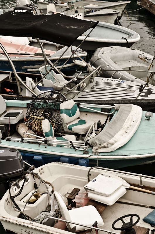 Catalina Island and Ensenada Cruise