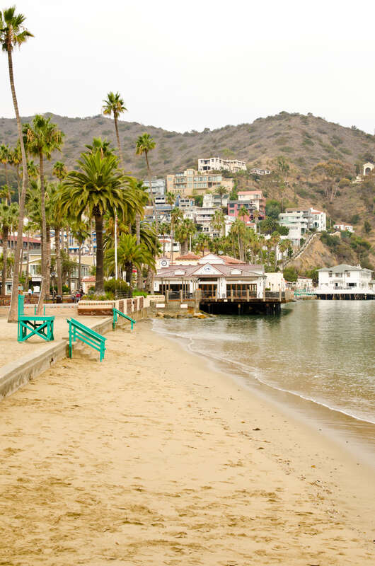 Catalina Island and Ensenada Cruise
