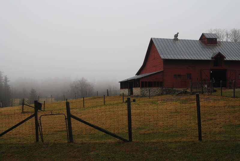 Dairy barn and fog, Carl Sandburg Home National Historic Site, Flat Rock, NC