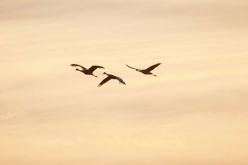 Florida, United States