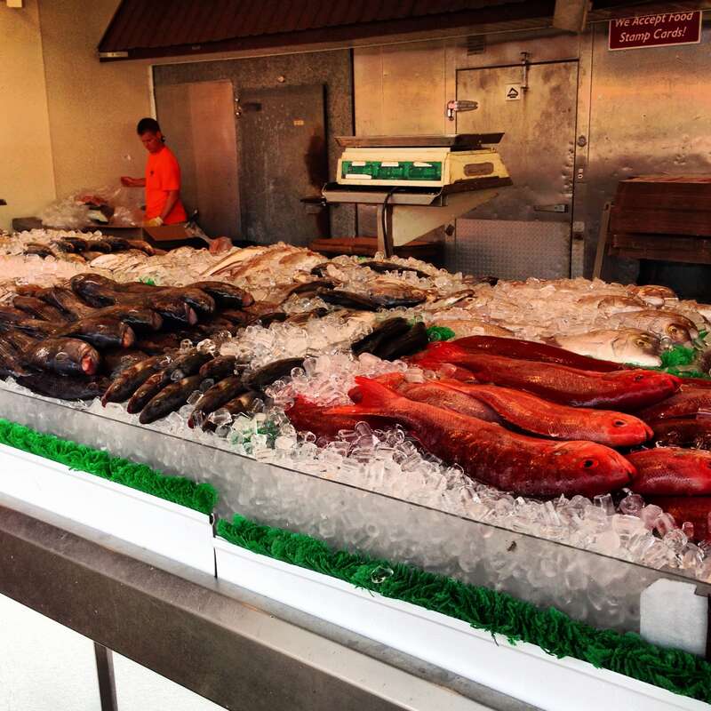 Fresh Fish at Maine Ave Fish Market