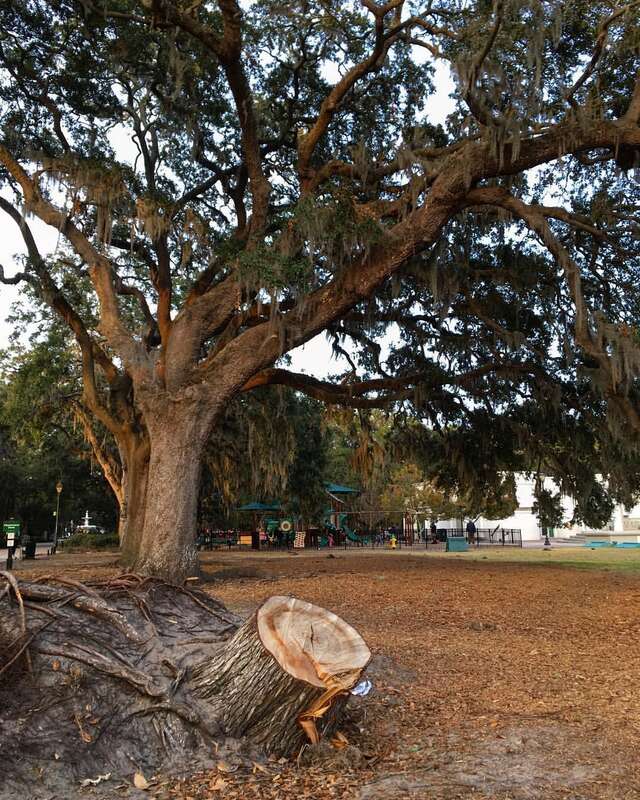 Hurricane Matthew was here