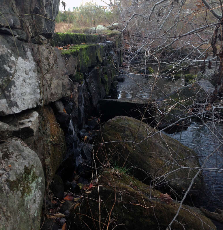 The Hyde Pond Dam Removal project  removed the dam on Whitford Brook, a tributary of the Mystic River. The effort is provide fish passage to 4.1 stream miles and habitat for alewife, blueback herring and American eel, candidate species under the