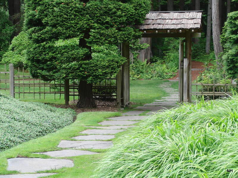 Japanese Garden