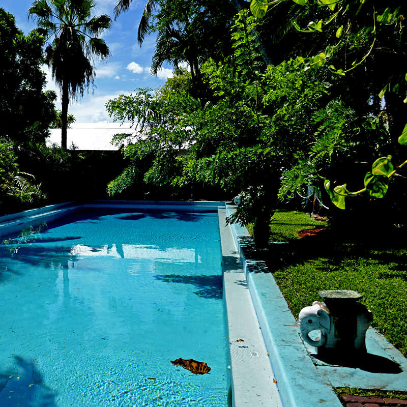 At Ernest Hemingway's. &quot;The first and only pool within 100 miles of Key West&quot; (1937)