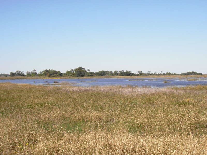 Marsh at Back Bay National Wildlife Refuge in Virginia.
Credit: USFWS