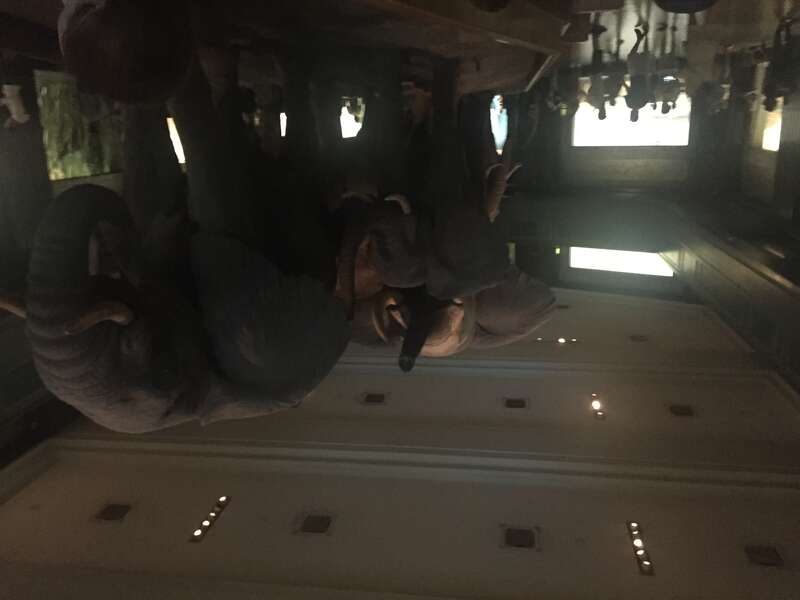 Museum of Natural History