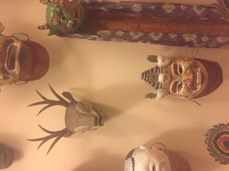 Museum of Natural History