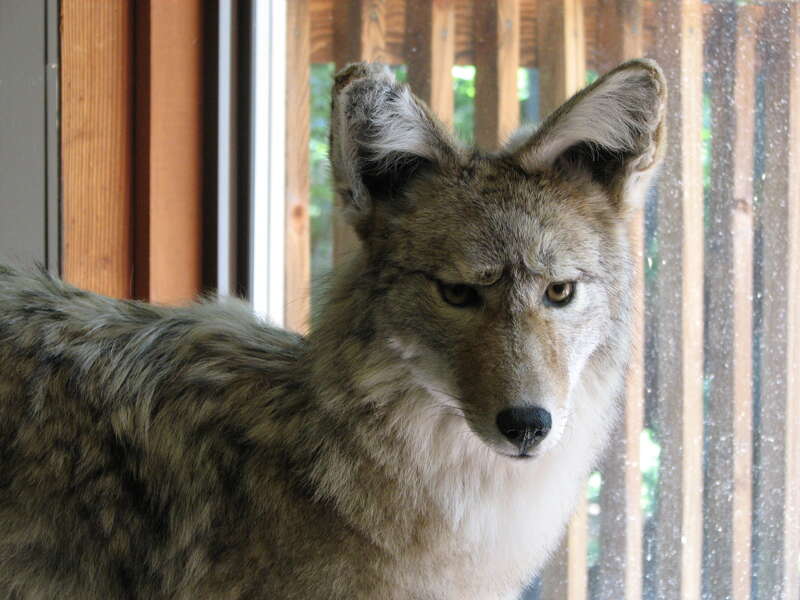 Nature Center and Planetarium in Rock Creek Park (5200 Glover Road Northwest, Washington, DC 20015)