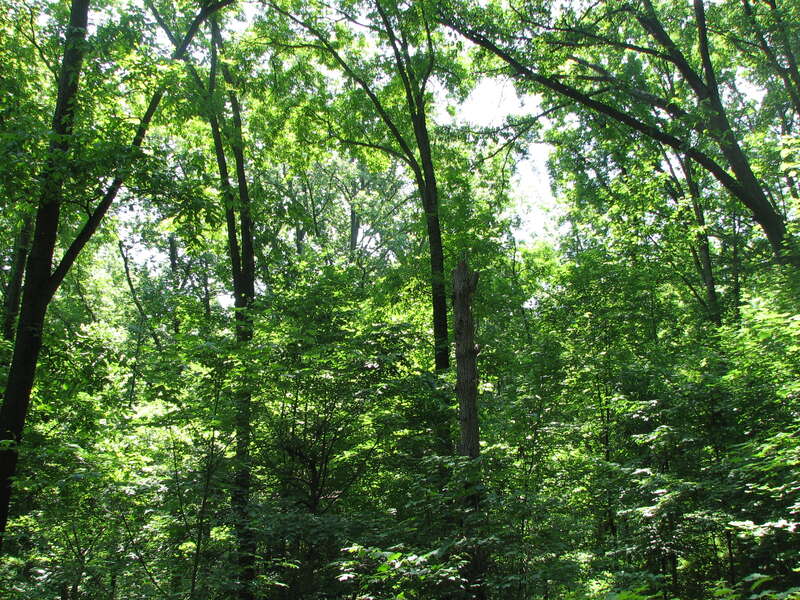 Nature Center and Planetarium in Rock Creek Park (5200 Glover Road Northwest, Washington, DC 20015)