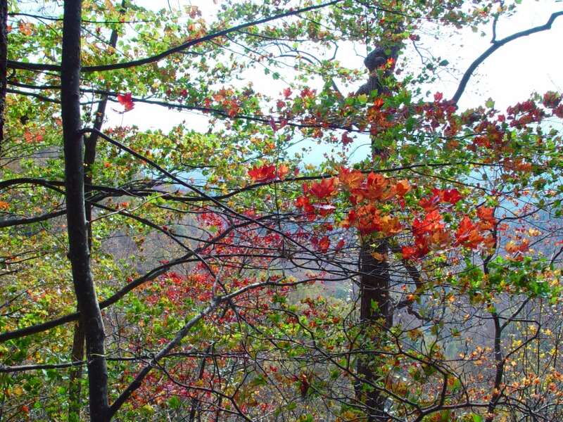 Near Amicalola falls 9-11-2005