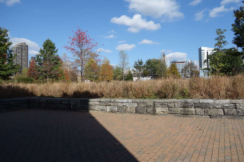 A stone wall in front of the Strecker Memorial Laboratory at the east side of Southpoint Park, at East Road south of South Loop Road at approximately Manhattan 53rd Street in the southern half of Roosevelt Island, Manhattan. Can also be used for