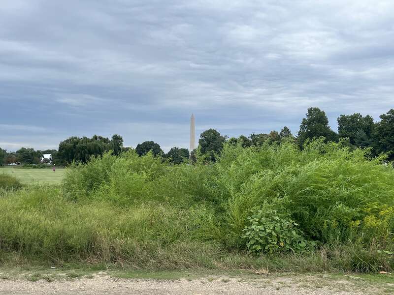 A view of the Washington Monument from East Potomac Golf Links.