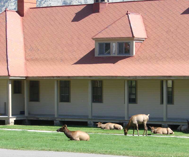 (1 in a multiple picture set)Much of old Fort Yellowstone remains near the foot of Mammouth Hot Springs.  The soldiers who were stationed at this fort were assigned to patrol and protect Yellowstone National Park in its early years. The residencial