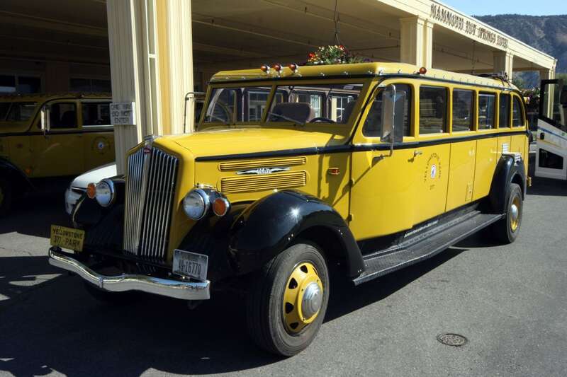 Yellowstone Park Bus