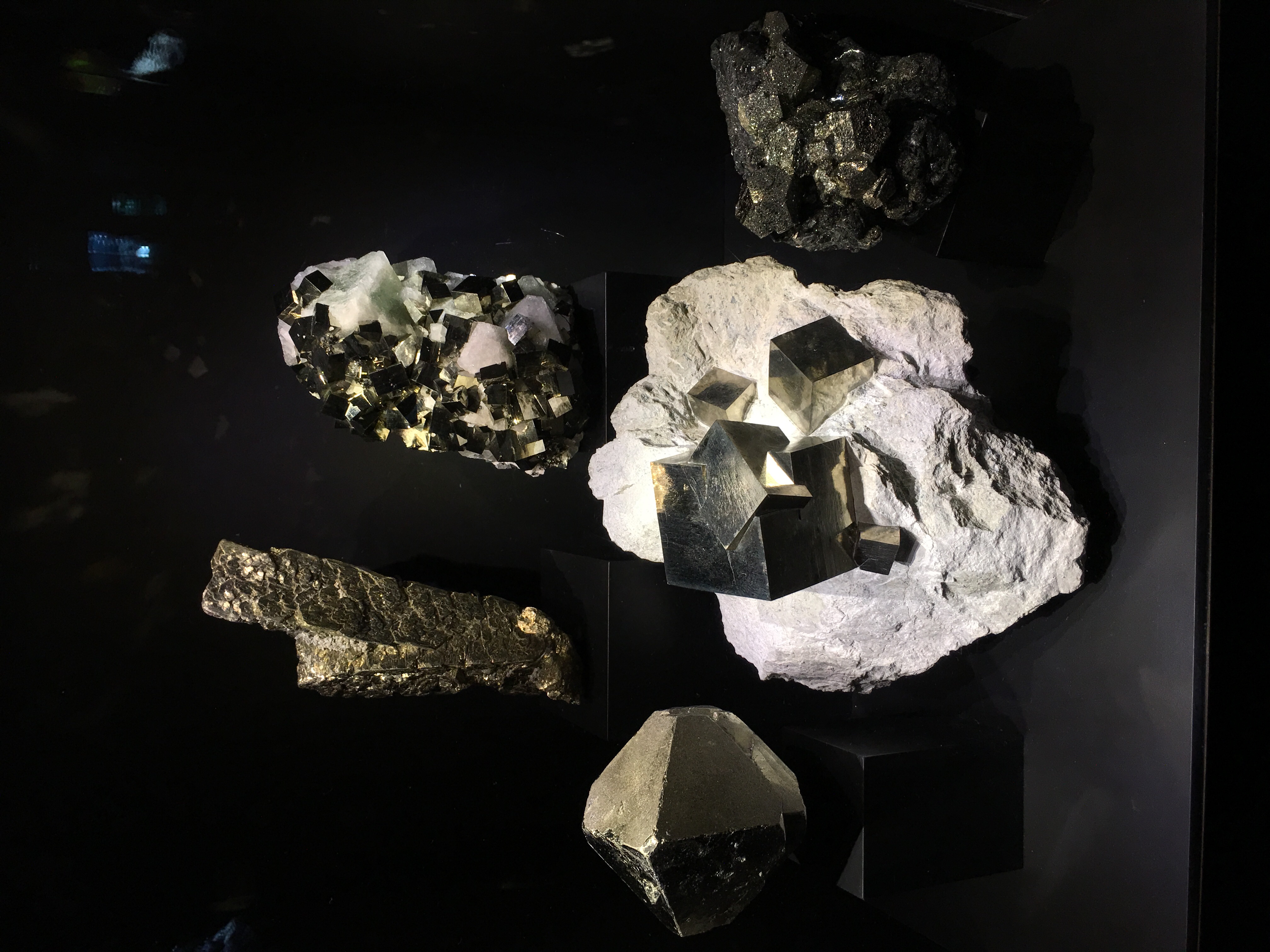 佩洛特自然科学博物館, 達拉斯, 德克薩斯州, 德州, 美國, 美利堅合眾國, Perot Museum of Nature and Science, Perot Museum, Dallas, Texas, Tejas, United States of America, United States, America, The States, USA, US