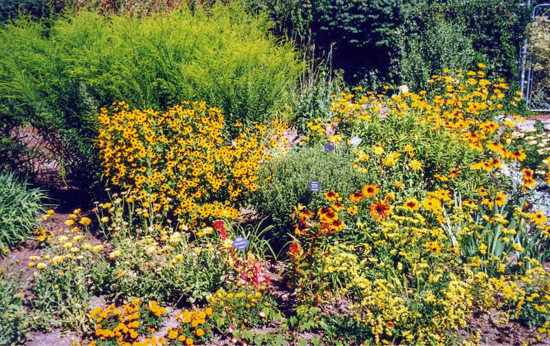 20000826 08 Denver Botanic Garden